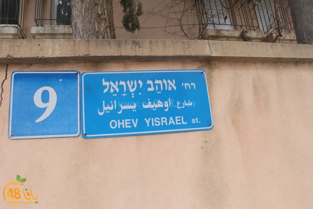 streetesasqq (4).jpg.jpg